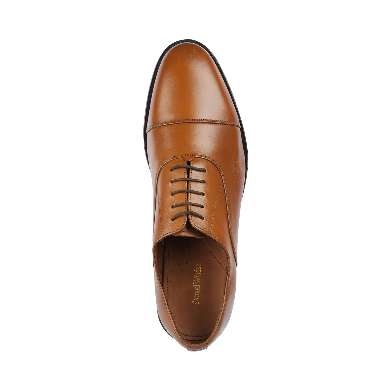 Samuel Windsor - Chester 31 <br> Big Size Regular Width Genuine Leather Tan Formal Lace-Up Shoes