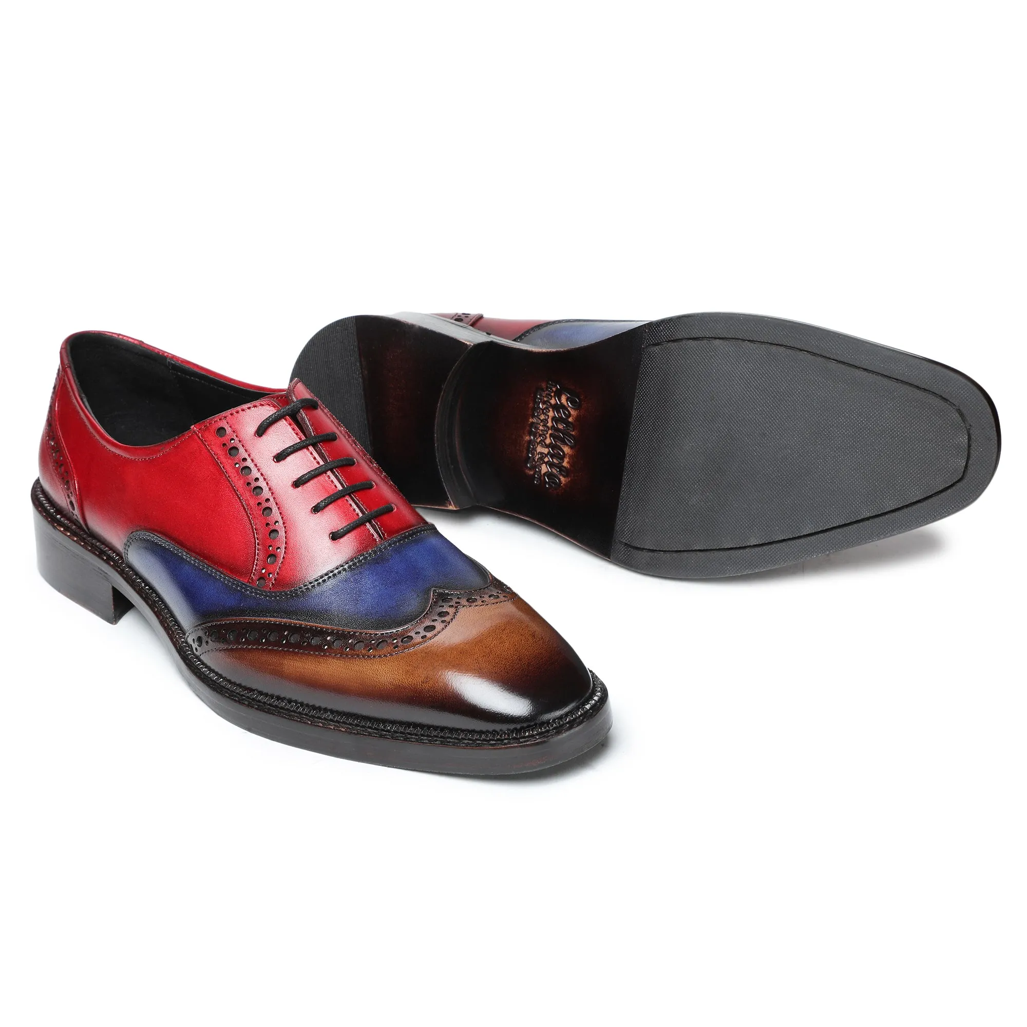 Wingtip Brogue Oxford - Multicolor